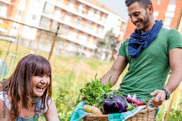 Fototapeta Couple smiling and laughing, holding a basket of fresh organic vegetables in a community garden