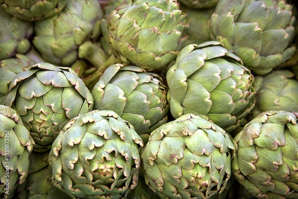 Fototapeta Artischoken
