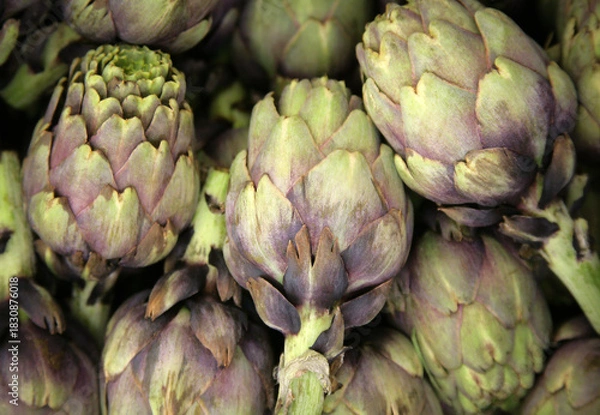 Fototapeta Artischoken