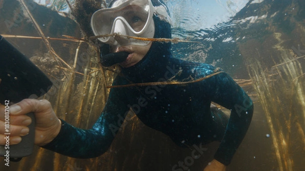 Obraz Woman with speargun swims in the lake with freshwater weed