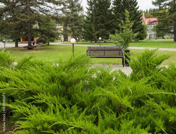 Fototapeta A bench in a city green park for relaxation.