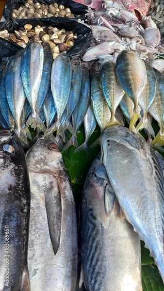 Obraz fresh fish at the market