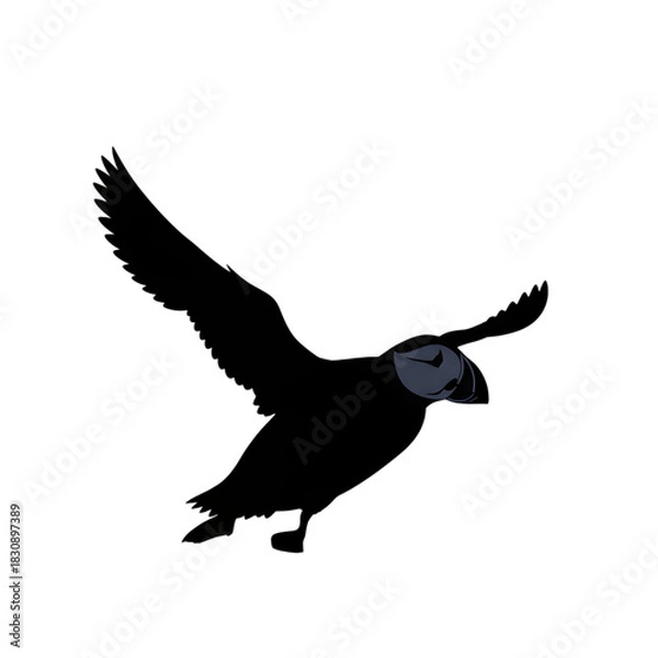 Obraz Close up of a delicate blue and white flower in a dark environment