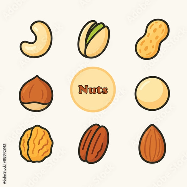 Obraz Nuts vector illustration