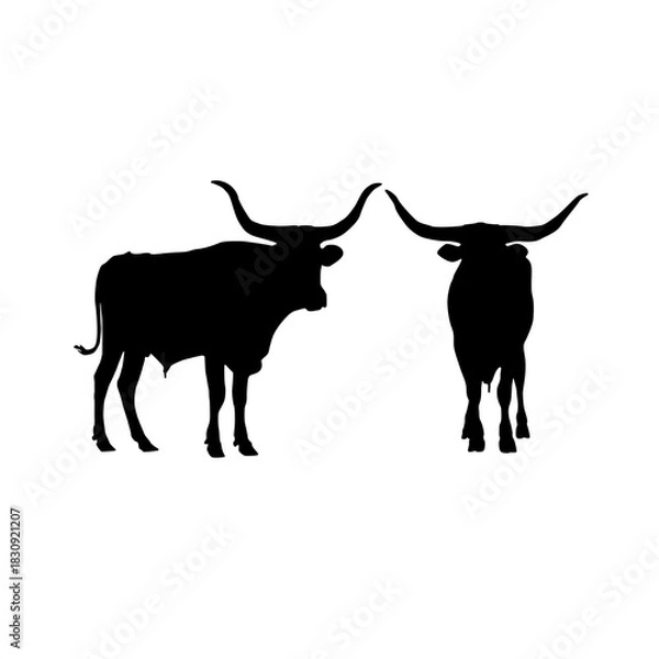 Obraz Two longhorn cattle silhouettes standing together in black and white