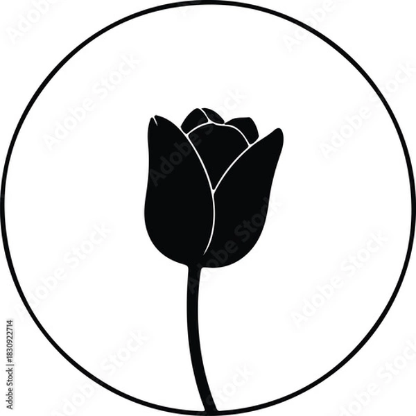 Fototapeta Illustration Tulip flower bud in a circle frame silhouette vector