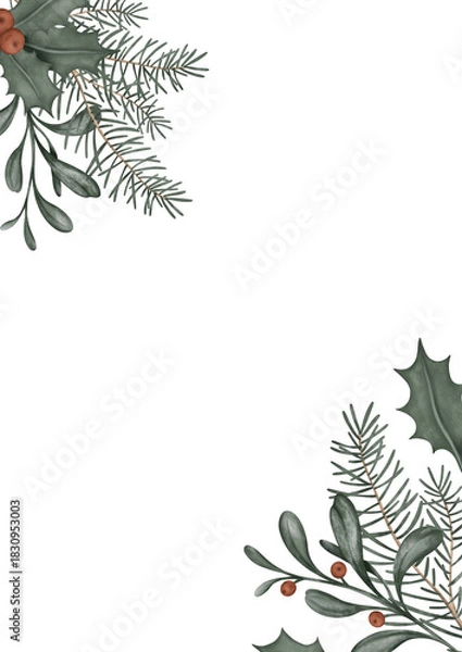 Fototapeta Vertical frame with hand drawn illustration of green branch of fir tree and holly with red berry. Postcard for New year or Christmas design in muted tones