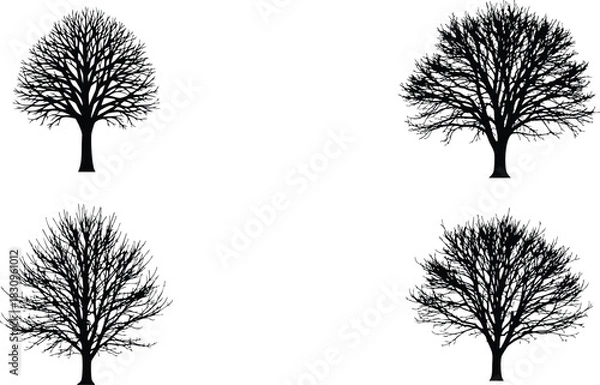 Fototapeta Four black tree silhouette vectors isolated on a white background offering versatile design elements