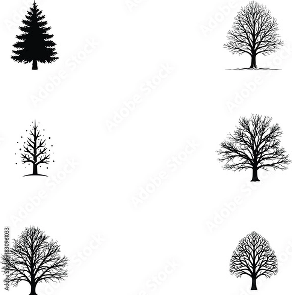 Fototapeta Black tree silhouettes collection showing different species with winter bare branches and evergreen