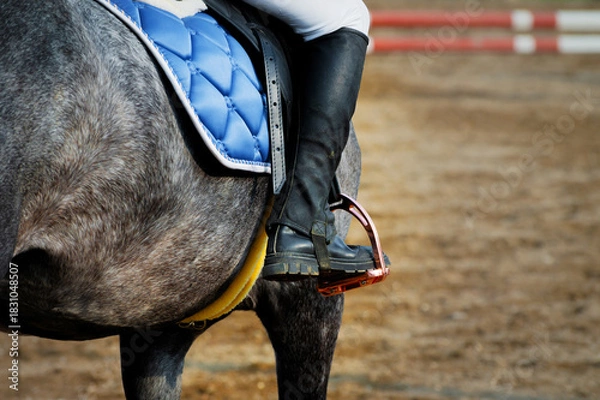 Fototapeta An unrecognizable girl on a horse in a saddle and black leather boots and gauntlets. A jockey on a stallion in white trousers, preparing for a competition