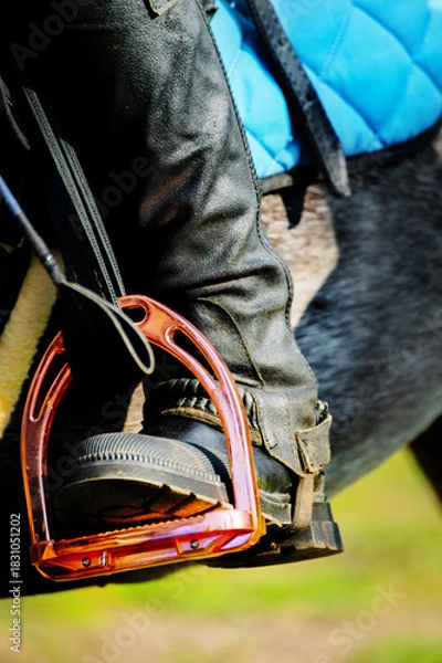 Obraz close-up of a brightly colored stirrup, with a rider's booted and cuisse-clad foot and a dressage whip in it. Photographed on a sunny day during equestrian training