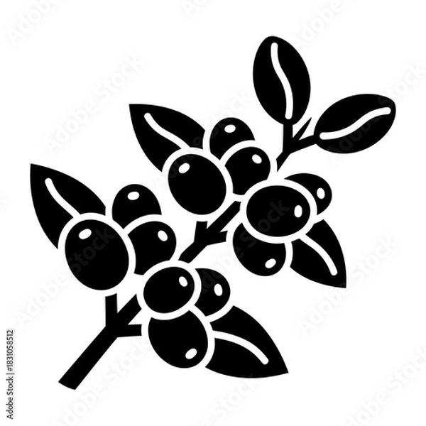 Obraz Coffee plant branch vector illustration with beans and leaves