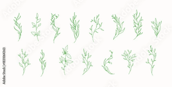 Obraz Floral set with elegant branch. Botanical foliage for wedding invitation or wall art. Vector illustration