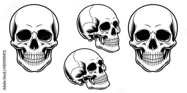Obraz Illustration of four black and white skulls in different angles on a white background