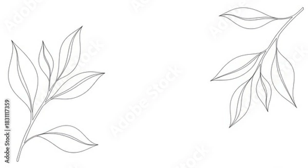 Fototapeta Minimalist leaf outline design for decoration and art use
