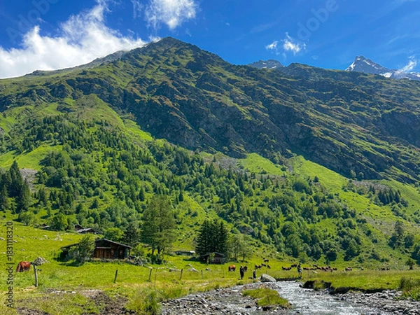 Obraz French Alpine Landscape with Cows on a Summer Day