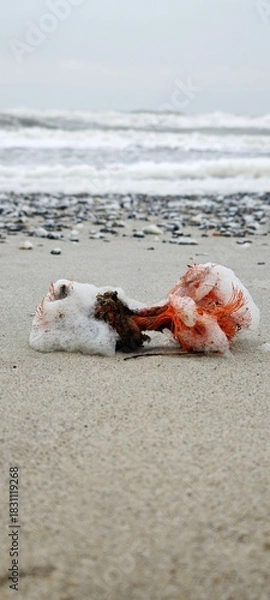 Obraz Angeschwemmtes Seilstück