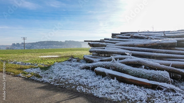 Obraz Holzlagerplatz