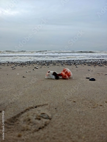 Obraz Müll am Nordseestrand