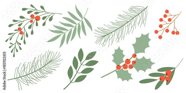 Fototapeta Winter botanical vector illustration with green branches and berries. Design for greeting cards, packaging, fabric, and scrapbooking.