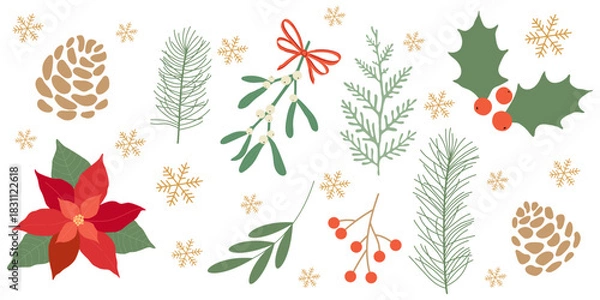 Fototapeta Winter botanical vector illustration with green branches and berries, pine cones, mistletoe, and poinsettia. Design for greeting cards, packaging, fabric, and scrapbooking.