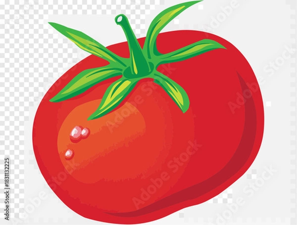 Obraz tomato vector illustration