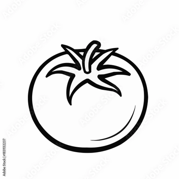 Fototapeta tomato vector illustration