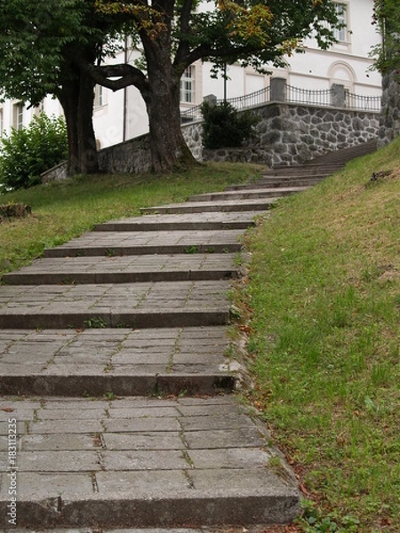 Obraz OLYMPUS DIGITAL CAMERA