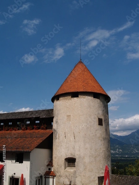 Obraz OLYMPUS DIGITAL CAMERA