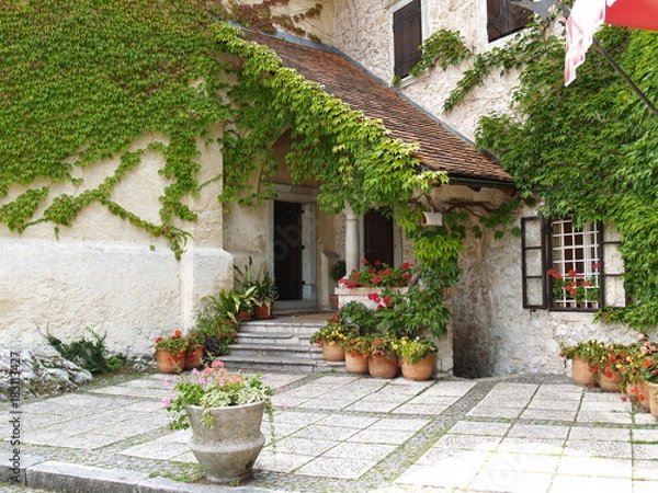 Obraz OLYMPUS DIGITAL CAMERA