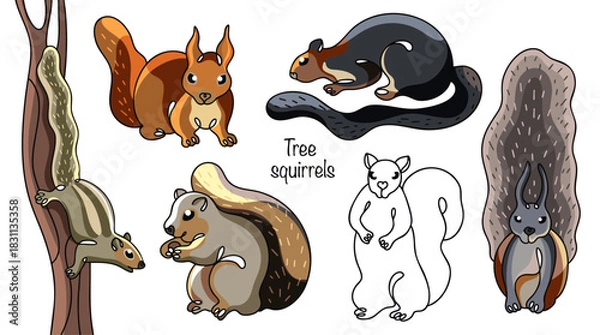 Obraz Tree squirrels