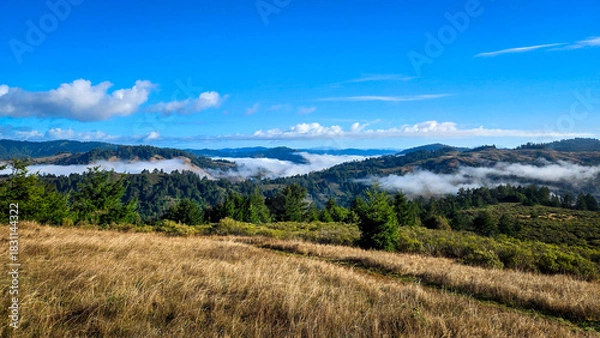 Obraz landscape with mountains
