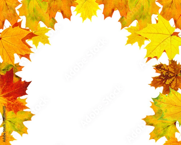 Fototapeta Autumn leaves frame a creating a vibrant fall season design element perfect for seasonal promotions and creative projects on transparent background