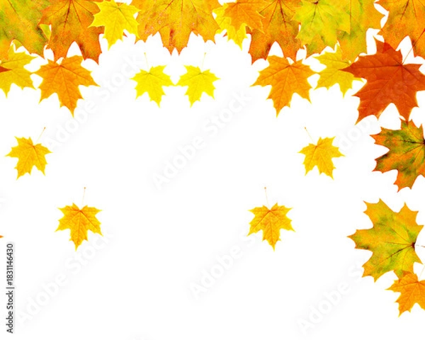 Fototapeta Autumn leaves frame a with vibrant yellow orange and red colors creating a seasonal fall aesthetic for design projects on transparent background