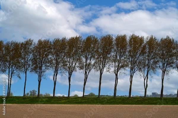 Fototapeta Empty spring field with the trees at the background, Netherlands