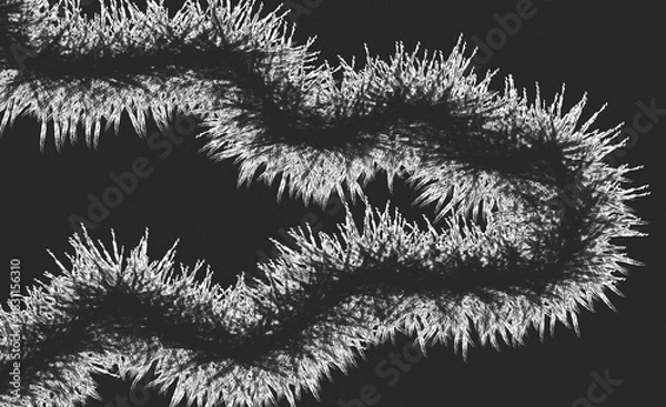 Fototapeta Black and white abstract frost texture art, icy crystal pattern background