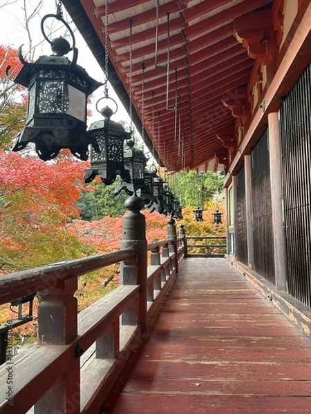 Obraz red wine cellar, temple