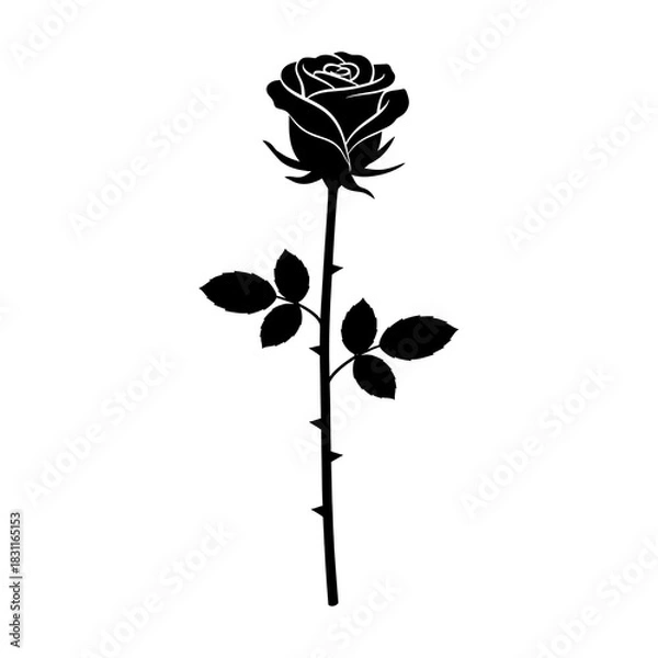 Obraz Single black rose silhouette with thorns and leaves