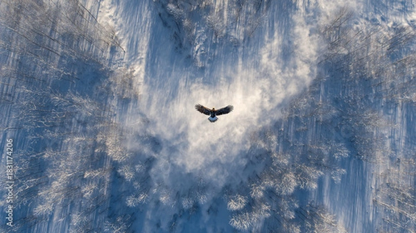 Fototapeta A snowstorm forming a giant eagle with spread wings soaring above frozen ground
