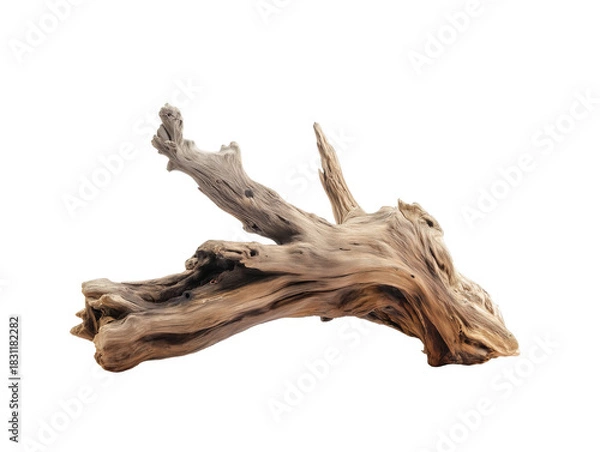 Obraz Natural Driftwood Art Piece Showcasing Unique Shapes and Textures, Ideal for Decor or Craft Projects, on Transparent Background