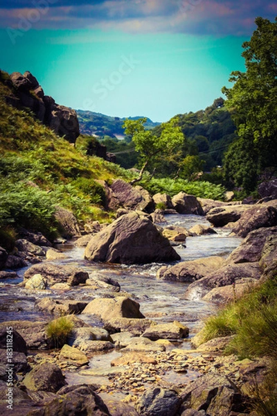 Fototapeta mountain river