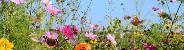 Obraz Schmetterling 1327