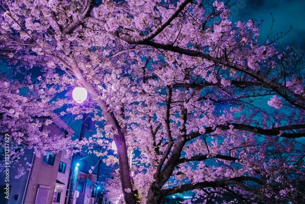 Fototapeta tree in bloom