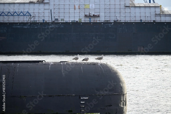 Obraz Russian Submarine in the Hamburg Port. Old russian submarine with seagulls at the Hamburg Harbor. Landungsbrücken.