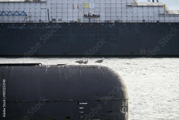 Obraz Russian Submarine in the Hamburg Port. Old russian submarine with seagulls at the Hamburg Harbor. Landungsbrücken.