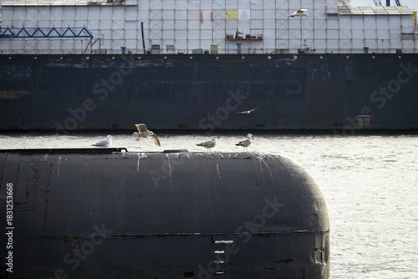 Obraz Russian Submarine in the Hamburg Port. Old russian submarine with seagulls at the Hamburg Harbor. Landungsbrücken.