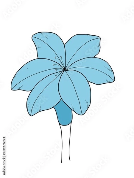 Obraz simple image of flowers