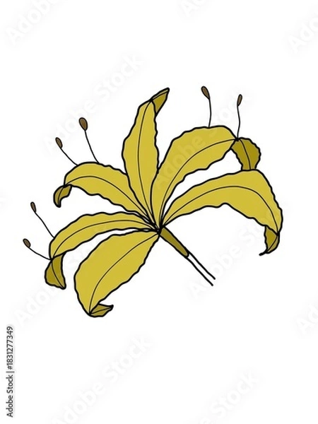 Obraz simple image of flowers