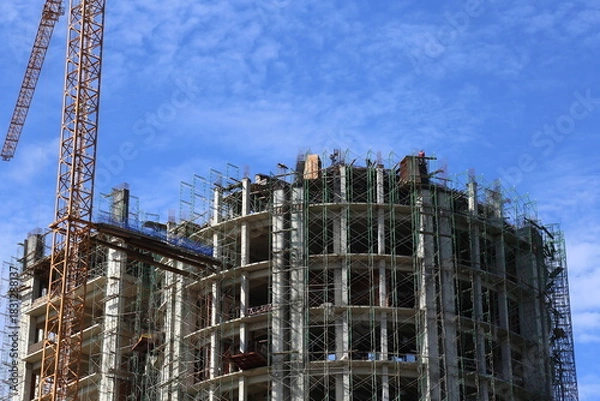 Obraz Tower Crane at Structural Framework Stage