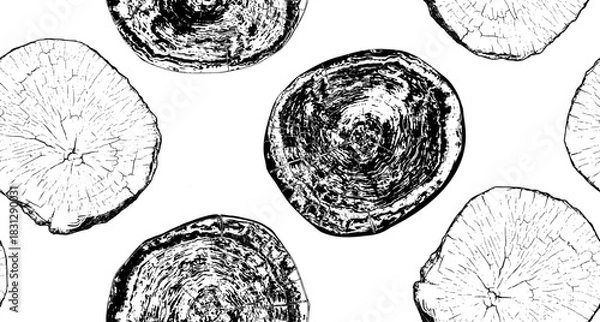 Obraz Wood cross section